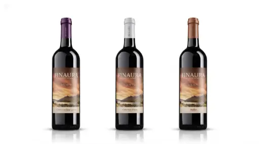 [CVFTCSVFTCFVFTMR] Combox3 Vinos Malbec Roble+Cabernet Sauvignon+Cabernet Franc
